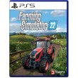 Гра консольна PS5 Farming Simulator 22, BD диск