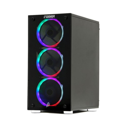 Персональний комп'ютер COBRA (I91F.8.S4.165.263)