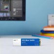 Накопичувач SSD M.2 WD Blue, SA510,1TB,NAND (WDS100T3B0B)