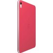 Чохол Apple Smart Folio for iPad (10th generation) - Watermelon (MQDT3ZM/A)