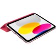 Чохол Apple Smart Folio for iPad (10th generation) - Watermelon (MQDT3ZM/A)