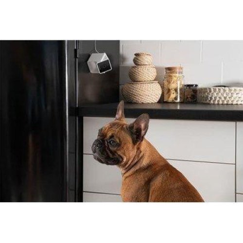 Компактна HD-камера Petcube Cam