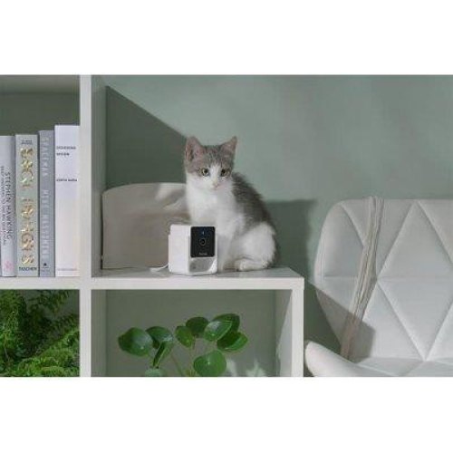 Компактна HD-камера Petcube Cam