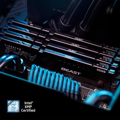 Пам'ять ПК Kingston DDR5 16GB 5600 FURY Beast Black EXPO