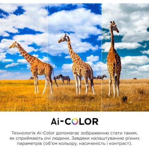 Телевізор 50 TCL 50C645