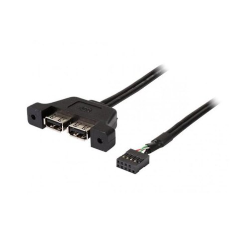 Кабель ASRock Desk mini 2XUSB2.0 CABLE