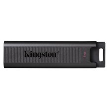 USB флеш Kingston 1TB USB 3.2 Type-C Gen 2 DT Max