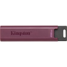 USB флеш Kingston  256GB USB 3.2 Type-A Gen 2 DT Max