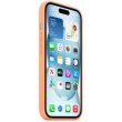 Чохол Apple iPhone 15 Silicone Case with MagSafe - Orange Sorbet (MT0W3ZM/A)