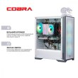 Персональний комп'ютер COBRA Gaming (I124F.16.S5.47.17390)