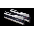 Модуль пам'яті DDR5 2x16GB/5600 G.Skill Trident Z5 Silver (F5-5600J4040C16GX2-TZ5S)