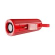 Портативна колонка BOROFONE BR1 Beyond sportive wireless speaker Red