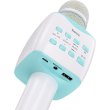Портативна колонка HOCO BK5 Cantando karaoke microphone Blue