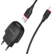 Мережевий зарядний пристрій BOROFONE BA49A Vast power single port charger set(Lightning) Black