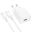 Мережевий зарядний пристрій BOROFONE BA74A Aspirer single port charger set(Type-C) White