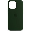 Панель Original Silicone Case для Apple iPhone 13 Pro, Clover (ARM62142)