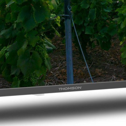 Телевізор Thomson Android TV 55 QLED 55QA2S13