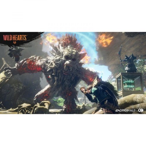 Гра консольна PS5 Wild Hearts, BD диск