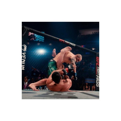 Гра консольна Xbox Series X EA SPORTS UFC 5 , BD диск