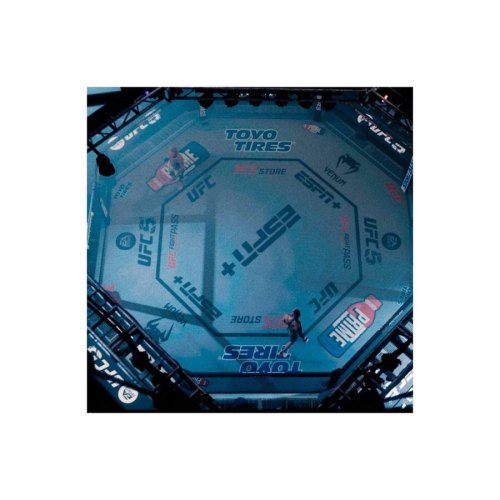 Гра консольна Xbox Series X EA SPORTS UFC 5 , BD диск