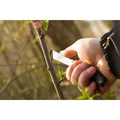 Ніж садовий Cellfast, для окулірування, 22см, 0.09кг