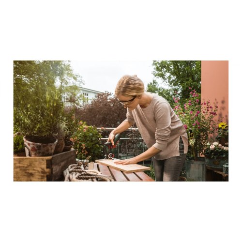 Мініпилка ланцюгова акумуляторна Bosch EasyCut 12, 12V, акб 1х2.5Aг, шина 6.5см, кейс