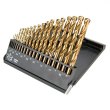 Набір свердел по металу GRAPHITE, 19шт, HSS-TiN, 1-10мм, кейс