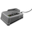 Швидкозарядний пристрій Karcher Battery Power+ 36/60, 36В, 0.933 кг