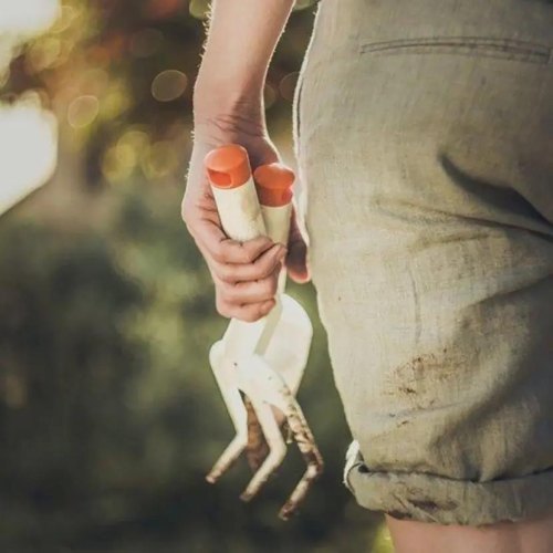 Вилка для посадки Fiskars White, 26.3см (1027034)