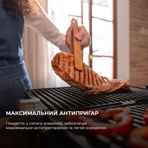 Гриль Cecotec Rock'nGrill Dual (CCTC-03099)