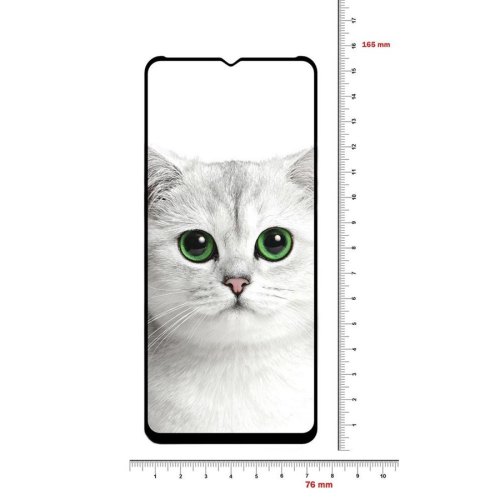 Захисне скло BeCover для Realme C21Y Black (706904)