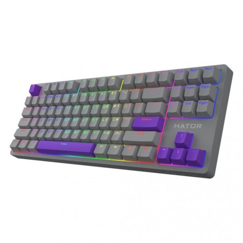 Клавіатура механічна, дротова, Hator Rockfall 2 Mecha TKL Autograph Edition (HTK-526) titanium