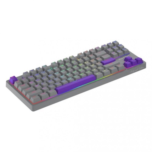 Клавіатура механічна, дротова, Hator Rockfall 2 Mecha TKL Autograph Edition (HTK-526) titanium