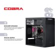 COBRA Advanced (I3355.8.S2.INT.18635)