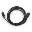 Кабель до принтера AMBM, 180см, Cablexpert (CCBP-USB2-AMBM-6)