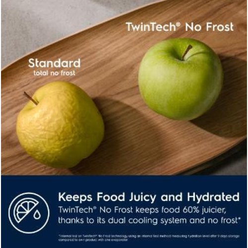 Холодильник вбудований Electrolux RNT6TE19S (925561318)