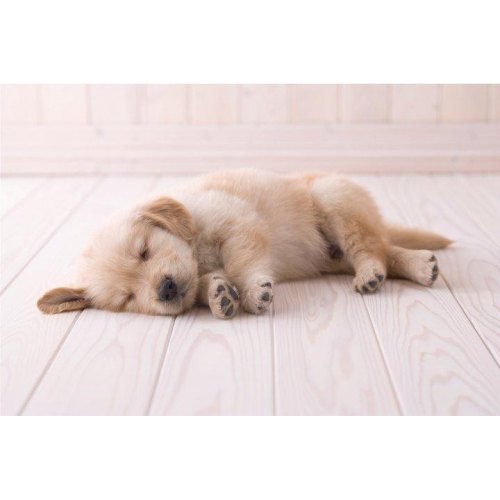 Пилосос ELECTROLUX ESP754IW