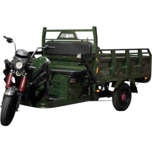 Електричний мопед TRIGO JJ1.6 1000W/60V/35AH(DZM) (зелений)