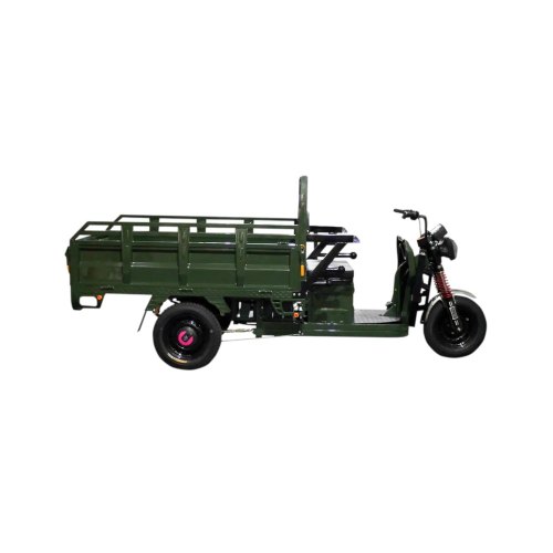 Електричний мопед TRIGO JJ1.6 1000W/60V/35AH(DZM) (зелений)