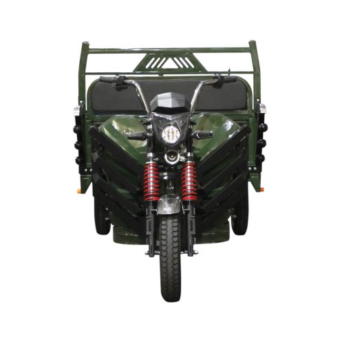 Електричний мопед TRIGO JJ1.6 1000W/60V/35AH(DZM) (зелений)