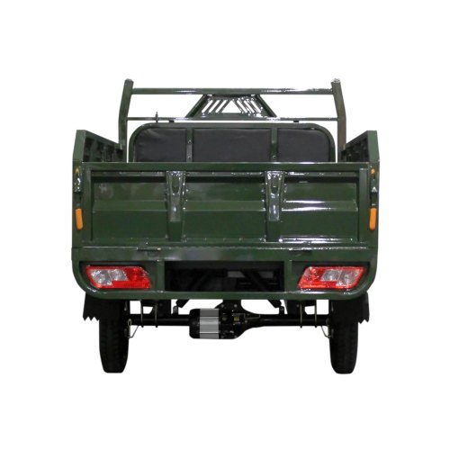 Електричний мопед TRIGO JJ1.6 1000W/60V/35AH(DZM) (зелений)