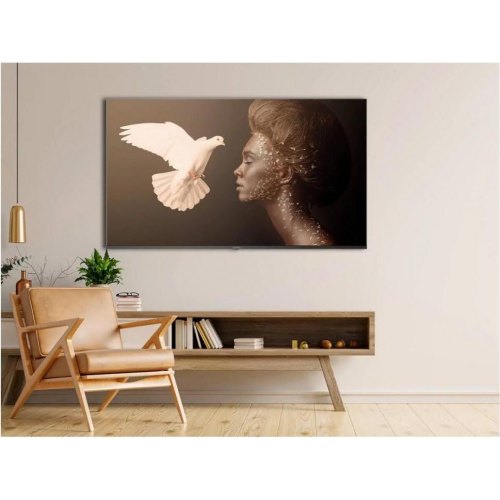 Телевiзор Gazer TV50-UE2