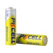 Акумулятор AA 600mAh, 1.2V Ni-MH, rechargeable battery, PKCELL, 2pcs/card
