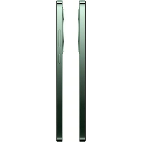 Смартфон Oppo Reno12 FS 12/512GB Black Green