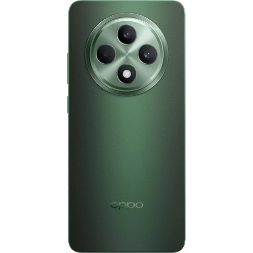 Смартфон Oppo Reno12 FS 12/512GB Black Green