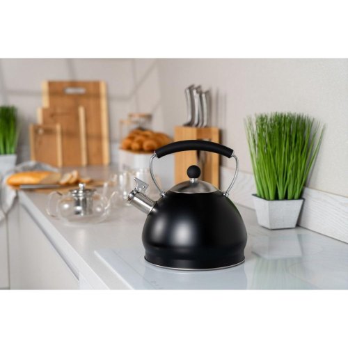 Чайник ARDESTO Black Mars, 3 л, чорний, нержавіюча сталь