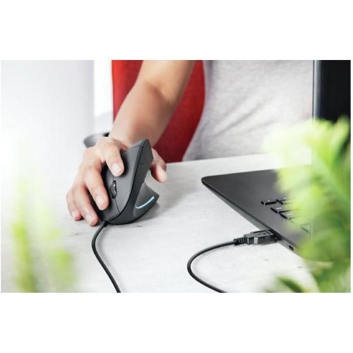 Мишка дротова Trust Trust ERGONOMIC USB BLACK