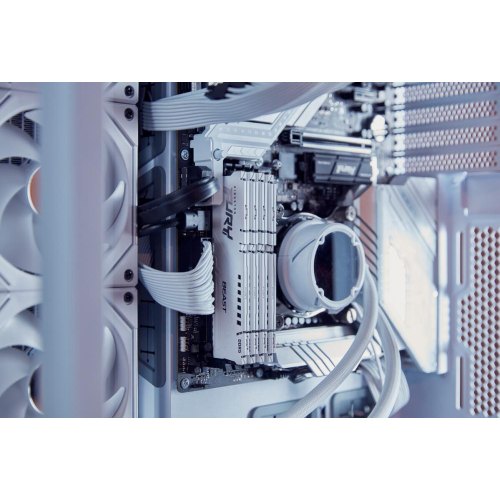 Модуль пам'яті, DDR5, (2x32) 64GB, 6000MHz, Kingston KF560C36BWEK2-64