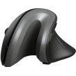 Мишка бездротова Trust Verro Wireless Ergo Mouse