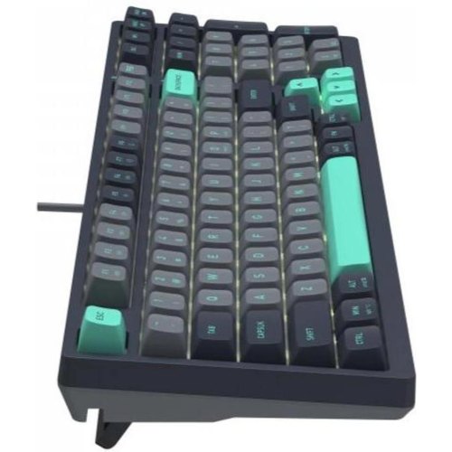 Клавіатура дротова A4Tech FS300 (Panda Rock Climbing)